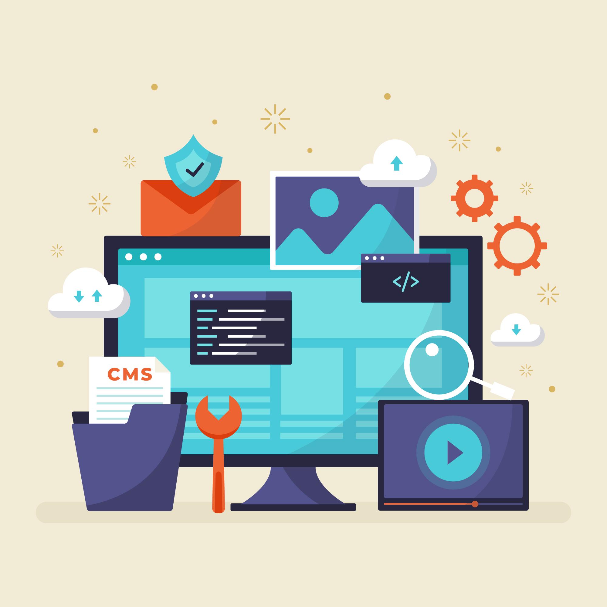 Custom Web Application Development​